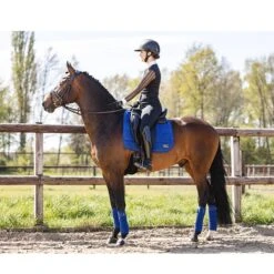 Bandages Anky Blauw -Weath Paard Winkel bandages anky blauw 1500x1500 170155