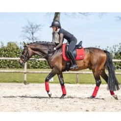 Bandages Anky Rood -Weath Paard Winkel bandages anky rood 1500x1500 170164