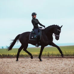 Bandages Equestrian Stockholm Black Edition Zwart -Weath Paard Winkel bandages equestrian stockholm black edition zwart 1500x1500 147626