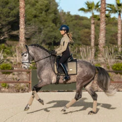 Bandages Equestrian Stockholm Chantelle Lichtbruin -Weath Paard Winkel bandages equestrian stockholm chantelle lichtbruin 1500x1500 153784