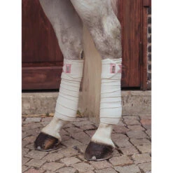 Bandages Equestrian Stockholm Desert Rose Lichtroze -Weath Paard Winkel bandages equestrian stockholm desert rose lichtroze 1500x1500 147537