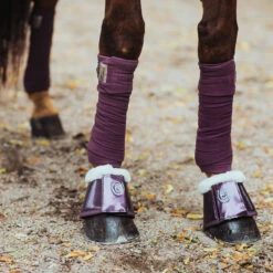 Bandages Equestrian Stockholm Orchid Bloom Paars -Weath Paard Winkel bandages equestrian stockholm orchid bloom paars 1500x1500 147468