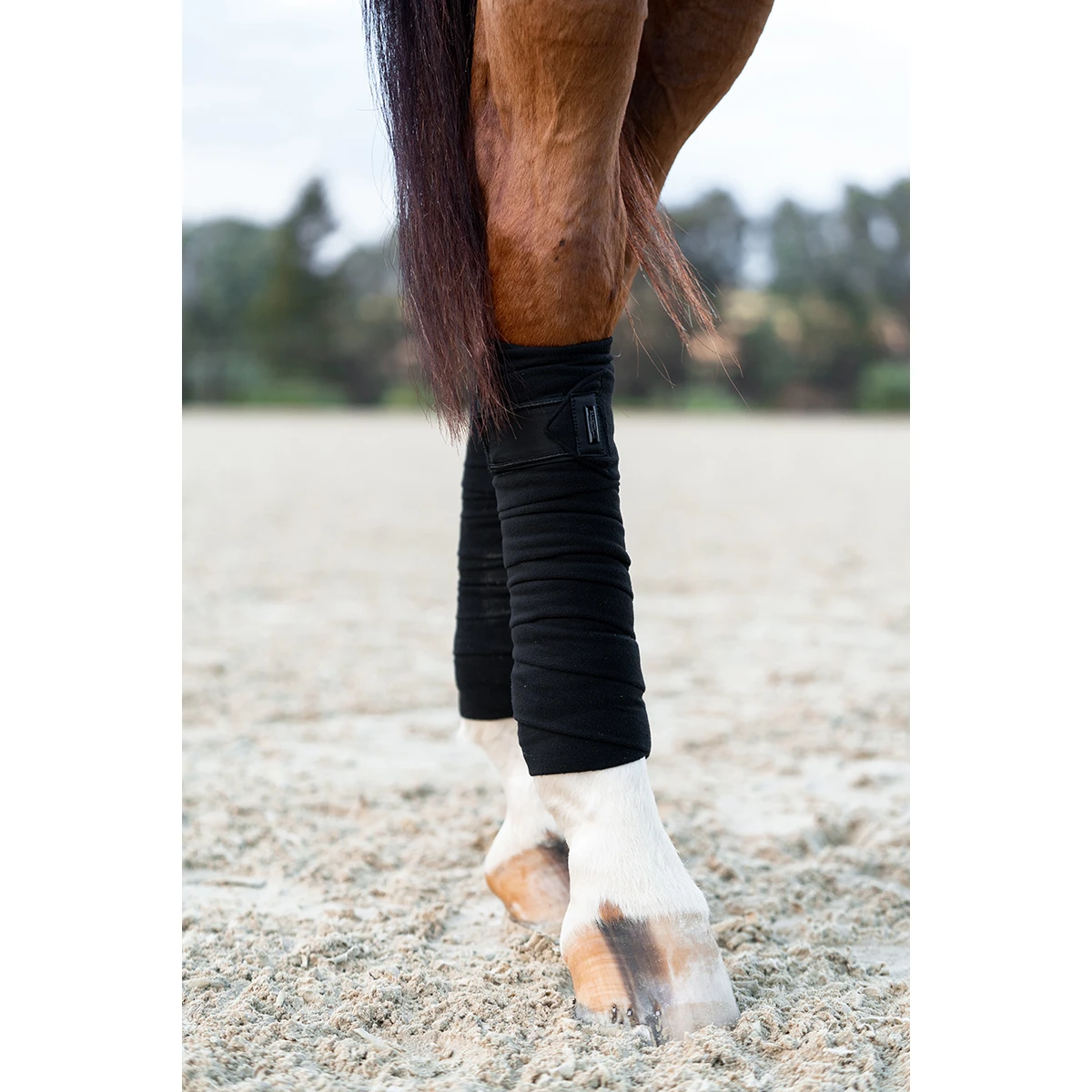 Bandages Equestrian Stockholm Total Eclipse Zwart 2 Bandages Equestrian Stockholm Total Eclipse Zwart - Afbeelding 2