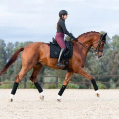 Bandages Equestrian Stockholm Total Eclipse Zwart 8 Bandages Equestrian Stockholm Total Eclipse Zwart -Weath Paard Winkel bandages equestrian stockholm total eclipse zwart 1500x1500 153944