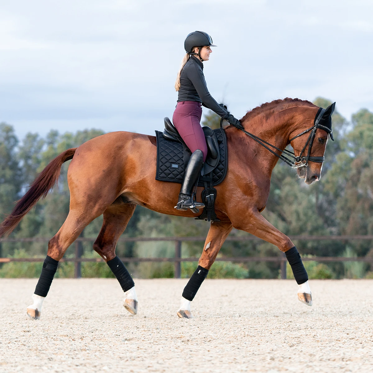 Bandages Equestrian Stockholm Total Eclipse Zwart 3 Bandages Equestrian Stockholm Total Eclipse Zwart - Afbeelding 3