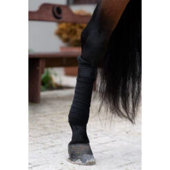 Bandages Equestrian Stockholm Total Eclipse Zwart 11 Bandages Equestrian Stockholm Total Eclipse Zwart -Weath Paard Winkel bandages equestrian stockholm total eclipse zwart 1500x1500 153947