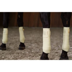 Bandages Eskadron Platinum Pure Mesh Lichtgeel 9 Bandages Eskadron Platinum Pure Mesh Lichtgeel -Weath Paard Winkel bandages eskadron platinum pure mesh lichtgeel 1500x1500 184438