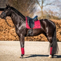 Bandages HB Showtime Crown Donkerrood -Weath Paard Winkel bandages hb showtime crown donkerrood 1500x1500 146324