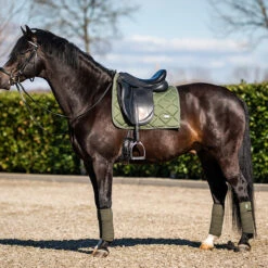 Bandages HB Showtime Crown Groen -Weath Paard Winkel bandages hb showtime crown groen 1500x1500 146327