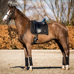 Bandages HB Showtime Crown Zwart -Weath Paard Winkel bandages hb showtime crown zwart 1500x1500 146316