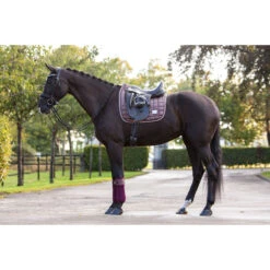 Bandages HB Showtime Lake View Donkerrood -Weath Paard Winkel bandages hb showtime lake view donkerrood 1500x1500 129400