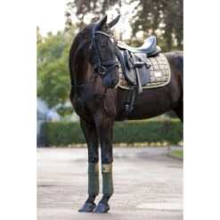 Bandages HB Showtime Lake View Groen -Weath Paard Winkel bandages hb showtime lake view groen 1500x1500 129407