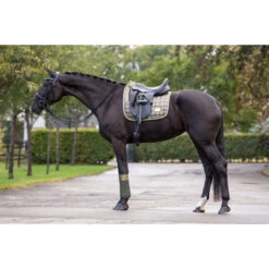 Bandages HB Showtime Lake View Groen -Weath Paard Winkel bandages hb showtime lake view groen 1500x1500 129408