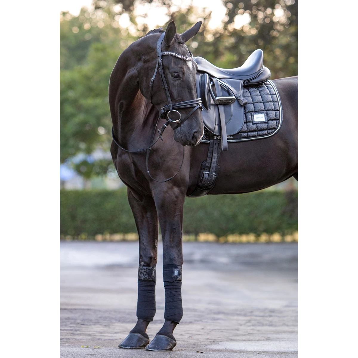 Bandages HB Showtime Lake View Zwart 3 Bandages HB Showtime Lake View Zwart - Afbeelding 3