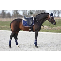 Bandages Horsegear Aurum Donkerblauw -Weath Paard Winkel bandages horsegear aurum donkerblauw 1500x1500 139138