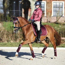 Bandages Horsegear Aurum Donkerrood -Weath Paard Winkel bandages horsegear aurum donkerrood 1500x1500 139143