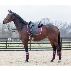 Bandages Horsegear Aurum Donkerrood -Weath Paard Winkel bandages horsegear aurum donkerrood 1500x1500 139144