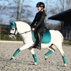 Bandages Horsegear Aurum Groen -Weath Paard Winkel bandages horsegear aurum groen 1500x1500 139148