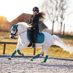 Bandages Horsegear Aurum Groen -Weath Paard Winkel bandages horsegear aurum groen 1500x1500 139150