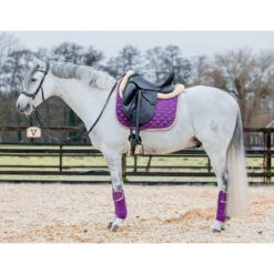 Bandages Horsegear Aurum Paars -Weath Paard Winkel bandages horsegear aurum paars 1500x1500 139131