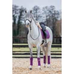 Bandages Horsegear Aurum Paars -Weath Paard Winkel bandages horsegear aurum paars 1500x1500 139132