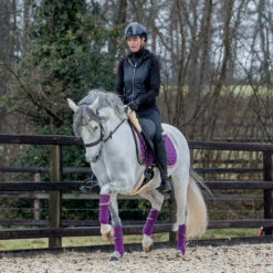 Bandages Horsegear Aurum Paars -Weath Paard Winkel bandages horsegear aurum paars 1500x1500 139133