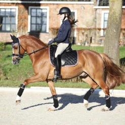 Bandages Horsegear Aurum Zwart -Weath Paard Winkel bandages horsegear aurum zwart 1500x1500 139126