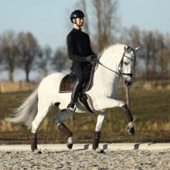 Bandages Horsegear Ruches 4-pack Donkerbruin -Weath Paard Winkel bandages horsegear ruches 4 pack donkerbruin 1500x1500 143301