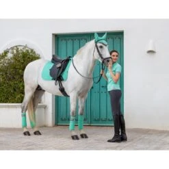 Bandages LeMieux Polo Lichtgroen -Weath Paard Winkel bandages lemieux polo lichtgroen 1500x1500 153177