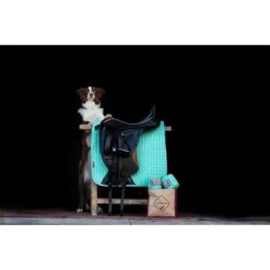 Bandages LeMieux Polo Lichtgroen -Weath Paard Winkel bandages lemieux polo lichtgroen 1500x1500 153179