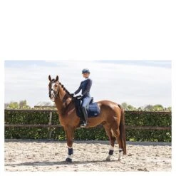 Beenbeschermers Anky Active Gel Impact ATB22001 Donkerblauw -Weath Paard Winkel beenbeschermers anky active gel impact atb22001 donkerblauw 1500x1500 182981