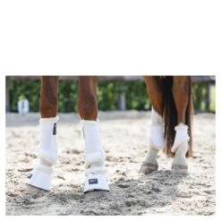 Beenbeschermers Anky Active Gel Impact ATB22001 Wit 11 Beenbeschermers Anky Active Gel Impact ATB22001 Wit -Weath Paard Winkel beenbeschermers anky active gel impact atb22001 wit 1500x1500 182972