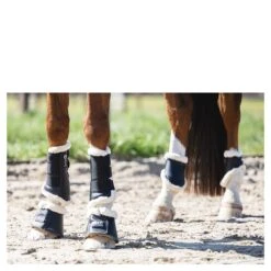 Beenbeschermers Anky Active Gel Impact ATB22001 Zwart 11 Beenbeschermers Anky Active Gel Impact ATB22001 Zwart -Weath Paard Winkel beenbeschermers anky active gel impact atb22001 zwart 1500x1500 182965