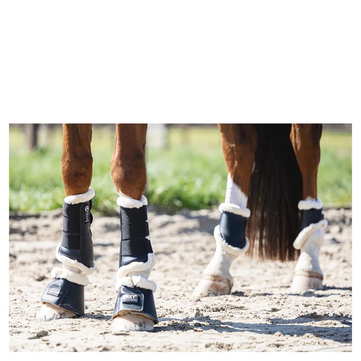 Beenbeschermers Anky Active Gel Impact ATB22001 Zwart 5 Beenbeschermers Anky Active Gel Impact ATB22001 Zwart - Afbeelding 5