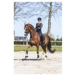 Beenbeschermers Anky Active Gel Impact ATB22001 Zwart 13 Beenbeschermers Anky Active Gel Impact ATB22001 Zwart -Weath Paard Winkel beenbeschermers anky active gel impact atb22001 zwart 1500x1500 182967