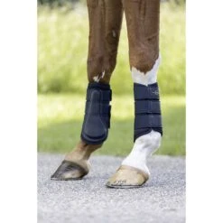 Beenbeschermers Covalliero Donkerblauw -Weath Paard Winkel beenbeschermers covalliero donkerblauw 1500x1500 176107