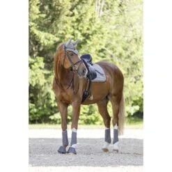 Beenbeschermers Covalliero Grijs -Weath Paard Winkel beenbeschermers covalliero grijs 1500x1500 176119