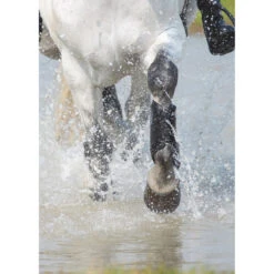 Beenbeschermers Cross Arma Voor Zwart -Weath Paard Winkel beenbeschermers cross arma voor zwart 1500x1500 164289