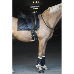 Beenbeschermers Horsegear Levy Zwart -Weath Paard Winkel beenbeschermers horsegear levy zwart 1500x1500 101962