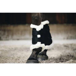Beenbeschermers Kentucky Air Zwart -Weath Paard Winkel beenbeschermers kentucky air zwart 1500x1500 137485