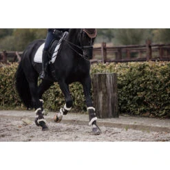 Beenbeschermers Kentucky Air Zwart -Weath Paard Winkel beenbeschermers kentucky air zwart 1500x1500 137487