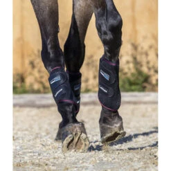 Beenbeschermers LeMieux Carbon Mesh Zwart-rood -Weath Paard Winkel beenbeschermers lemieux carbon mesh zwart rood 1500x1500 132762