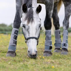 Beenbeschermers LeMieux Gladiator Mesh Fly Grijs -Weath Paard Winkel beenbeschermers lemieux gladiator mesh fly grijs 1500x1500 132523
