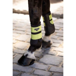 Beenbeschermers LeMieux Grafter Lichtgroen -Weath Paard Winkel beenbeschermers lemieux grafter lichtgroen 1500x1500 180795