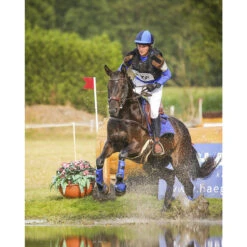Beenbeschermers QHP Eventing Achter Blauw -Weath Paard Winkel beenbeschermers qhp eventing achter blauw 1500x1500 101790