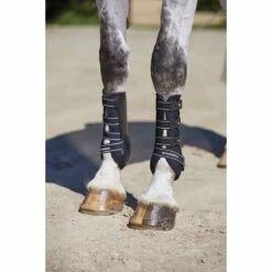 Beenbeschermers WeatherBeeta Dressage Boots Zwart -Weath Paard Winkel beenbeschermers weatherbeeta dressage boots zwart 1500x1500 135127