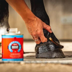 CDM Cornucrescine Daily Hoof Dressing Overige -Weath Paard Winkel cdm cornucrescine daily hoof dressing overige 1500x1500 180749