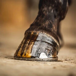 CDM Hoefolie Cornucrescine Tea Tree Overige -Weath Paard Winkel cdm hoefolie cornucrescine tea tree overige 1500x1500 180747