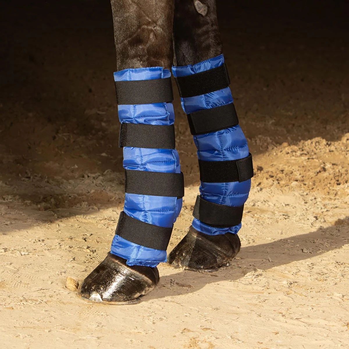 Cold Wraps Harry's Horse Blauw 2 Cold Wraps Harry's Horse Blauw - Afbeelding 2