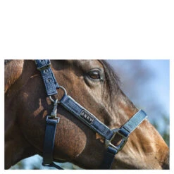 Halster Anky Grooming Donkerblauw -Weath Paard Winkel halster anky grooming donkerblauw 1500x1500 183526